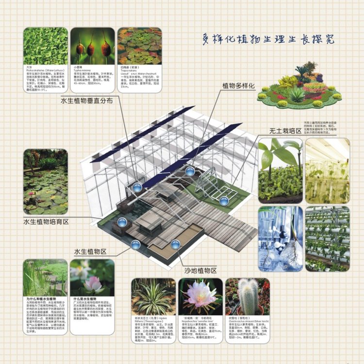 生态创新实验室